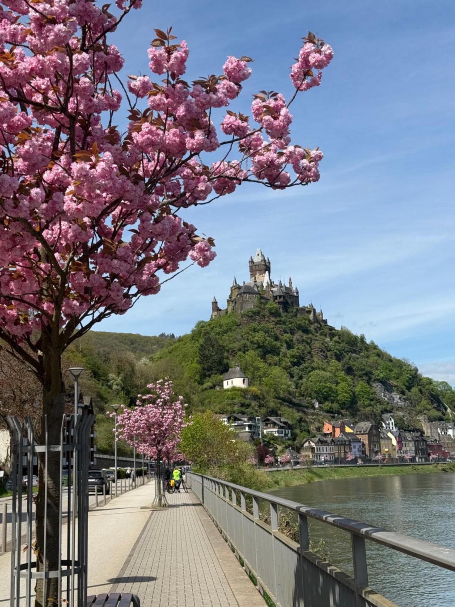 Ferienwohnung Haus Rubi Cochem Exterior foto